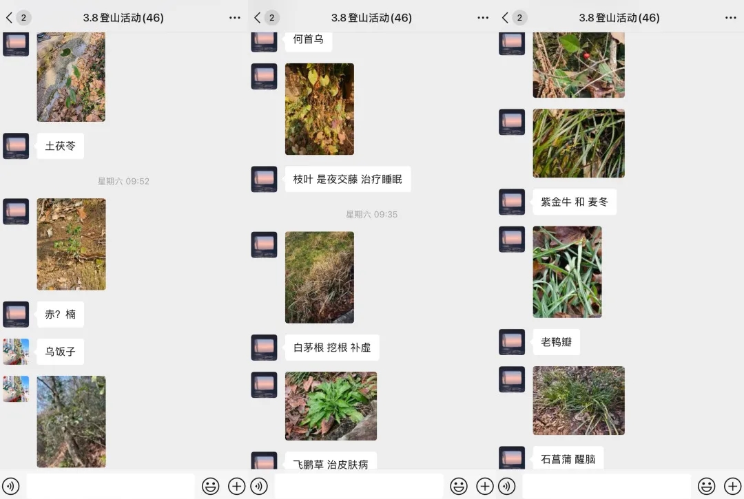 绍兴城东医院,张氏脊椎疗法,妇女节