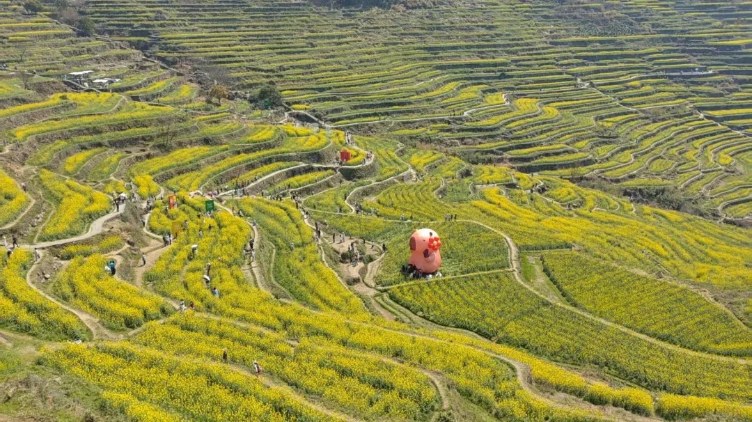 绍兴城东医院